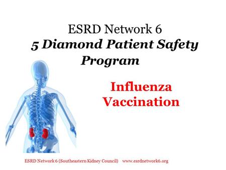 ESRD Network 6 5 Diamond Patient Safety Program