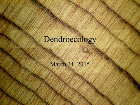 Dendroecology March 31, 2015. Dendroecology Dendroecology is the analysis of ecological issues such as fire, insect outbreaks, and stand-age structure.