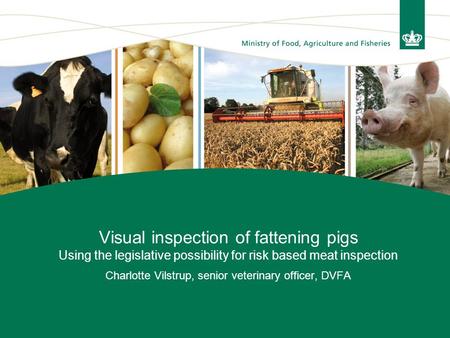 Visual inspection of fattening pigs Using the legislative possibility for risk based meat inspection Charlotte Vilstrup, senior veterinary officer, DVFA.
