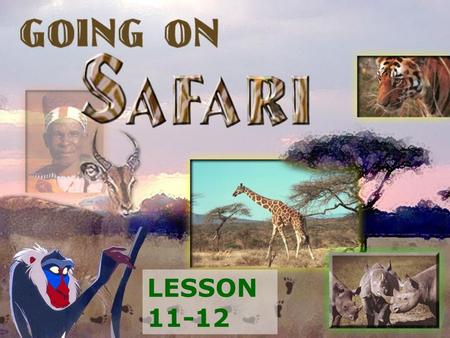 LESSON 11-12. begin to plan a trip. ask questions to help you plan it. access information from the Internet. visit the Maasai Mara National Reserve. be.