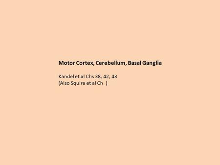 Motor Cortex, Cerebellum, Basal Ganglia
