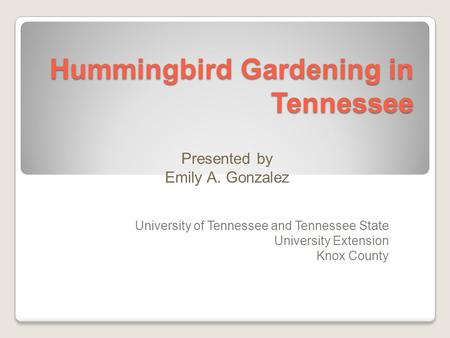 Hummingbird Gardening in Tennessee University of Tennessee and Tennessee State University Extension Knox County Presented by Emily A. Gonzalez.