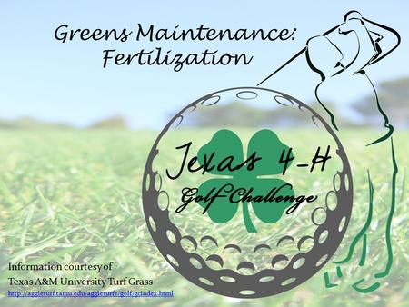 Greens Maintenance: Fertilization Information courtesy of Texas A&M University Turf Grass