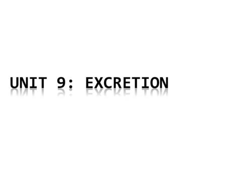 Unit 9: Excretion.