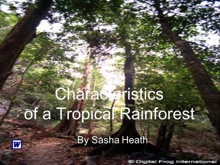 Characteristics of a Tropical Rainforest By Sasha Heath.