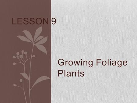 Growing Foliage Plants LESSON 9. Next Generation Science/ Common Core Standards Addressed! WHST.11‐12.8 Gather relevant information from multiple authoritative.
