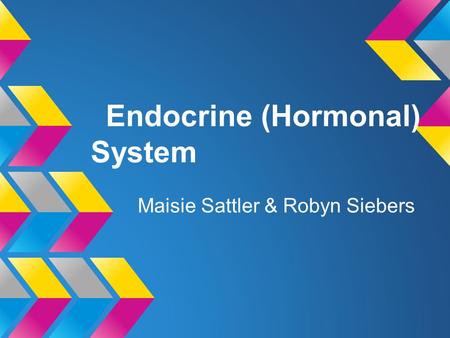 Endocrine (Hormonal) System