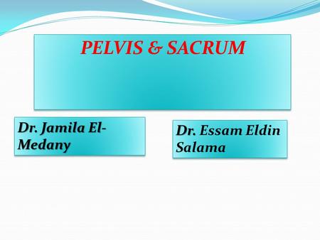 PELVIS & SACRUM Dr. Jamila El-Medany Dr. Essam Eldin Salama.