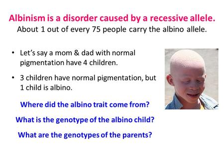 Albinism is a disorder caused by a recessive allele. About 1 out of every 75 people carry the albino allele. Let’s say a mom & dad with normal pigmentation.