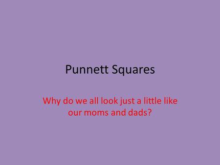 Punnett Squares Why do we all look just a little like our moms and dads?