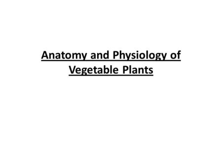 Anatomy and Physiology of Vegetable Plants. Divisions of Plant Physiology.