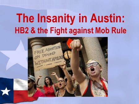 The Insanity in Austin: HB2 & the Fight against Mob Rule.