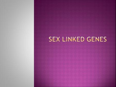  Genes are found on the X AND Y chromosomes.  Genes that are carried on the sex chromosomes are called sex linked genes.