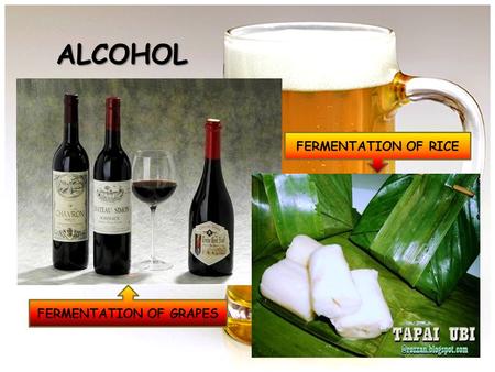 FERMENTATION OF RICE ALCOHOL FERMENTATION OF GRAPES.