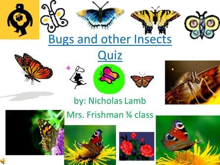 Bugs and other Insects Quiz by: Nicholas Lamb Mrs. Frishman ¾ class.