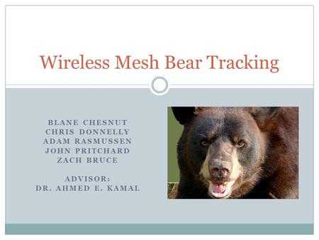 BLANE CHESNUT CHRIS DONNELLY ADAM RASMUSSEN JOHN PRITCHARD ZACH BRUCE ADVISOR: DR. AHMED E. KAMAL Wireless Mesh Bear Tracking.