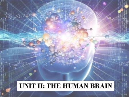 UNIT II: THE HUMAN BRAIN. Goal Understand that different parts of the brain control different aspects of our behavior. Identify those major parts.