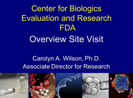 Center for Biologics Evaluation and Research FDA Overview Site Visit Carolyn A. Wilson, Ph.D. Associate Director for Research.