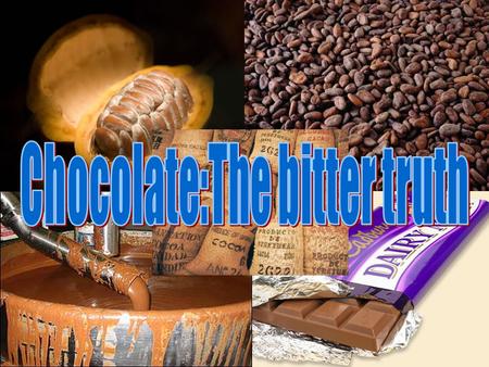 Chocolate: the bitter truth