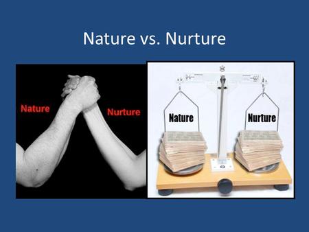 Nature vs. Nurture. Nature Vs. Nurture Controversy What is caused by heredity and what is caused by the environment. Heredity: characteristics obtained.