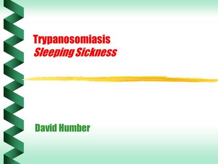 Trypanosomiasis Sleeping Sickness David Humber. Trypanosomes of Vertebrates T.corvi Corvids T.cruzi Humans, rodents, marsupials T.brucei spMan, ungulates.
