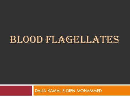 BLOOD FLAGELLATES DALIA KAMAL ELDIEN MOHAMMED. Introduction The family Trypanosomatidae (include hemoflagellates), contain only two genera that parasitize.