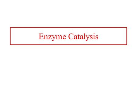 Enzyme Catalysis.