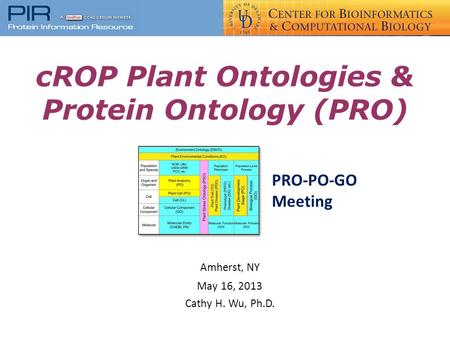 CROP Plant Ontologies & Protein Ontology (PRO) Amherst, NY May 16, 2013 Cathy H. Wu, Ph.D. PRO-PO-GO Meeting.