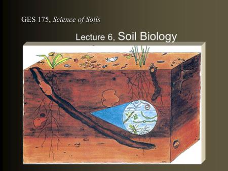 GES 175, Science of Soils Lecture 6, Soil Biology.