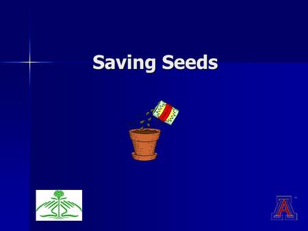 Saving Seeds. Seed Saving Hybrid vs. heirloom seeds Hybrid vs. heirloom seeds Isolating plants Isolating plants Methods for cleaning and storing Methods.