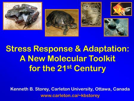 Stress Response & Adaptation: A New Molecular Toolkit for the 21 st Century Kenneth B. Storey, Carleton University, Ottawa, Canada www.carleton.ca/~kbstorey.