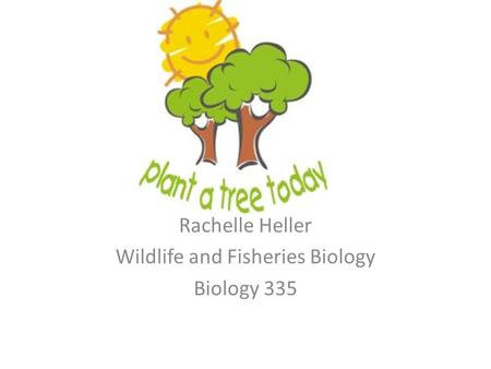 Rachelle Heller Wildlife and Fisheries Biology Biology 335.