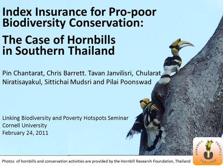 Index Insurance for Pro-poor Biodiversity Conservation: The Case of Hornbills in Southern Thailand Pin Chantarat, Chris Barrett. Tavan Janvilisri, Chularat.