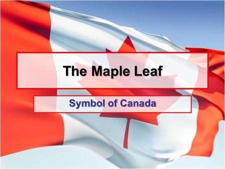The Maple Leaf Symbol of Canada.