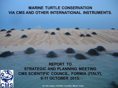 MARINE TURTLE CONSERVATION VIA CMS AND OTHER INTERNATIONAL INSTRUMENTS. REPORT TO STRATEGIC AND PLANNING MEETING CMS SCIENTIFIC COUNCIL, FORMIA (ITALY),