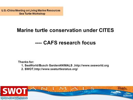 Marine turtle conservation under CITES ---- CAFS research focus Thanks for: 1. SeaWorld/Busch GardenANIMALS,http://www.seaworld.org 2. SWOT,http://www.seaturtlestatus.org/
