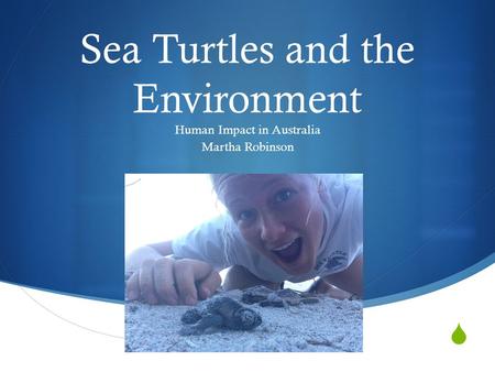  Sea Turtles and the Environment Human Impact in Australia Martha Robinson.