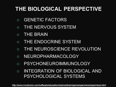THE BIOLOGICAL PERSPECTIVE