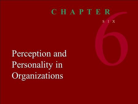 Organizational BEHAVIOR M C SHANEV ON GLINOW 1 © The McGraw-Hill Companies, Inc. 2000 Irwin/ McGraw-Hill Perception and Personality in Organizations 6.