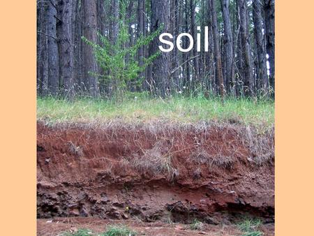 Soil. Soils SOIL is a dynamic system of living and nonliving components. DIRT is soil out of place.