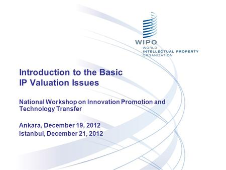 Introduction to the Basic IP Valuation Issues National Workshop on Innovation Promotion and Technology Transfer Ankara, December 19, 2012 Istanbul, December.