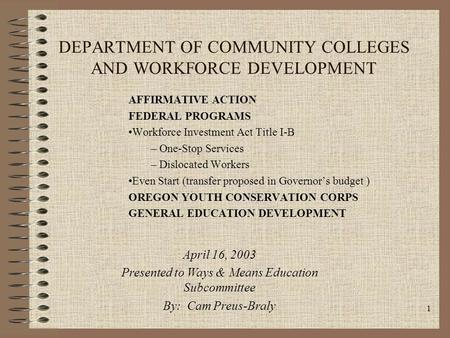 1 DEPARTMENT OF COMMUNITY COLLEGES AND WORKFORCE DEVELOPMENT AFFIRMATIVE ACTION FEDERAL PROGRAMS Workforce Investment Act Title I-B – One-Stop Services.