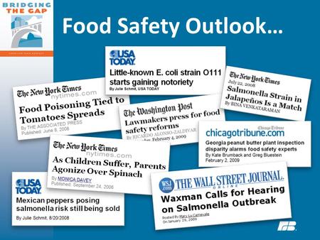 Food Safety Outlook…. FOOD SAFETY & PROTECTION THE CURRENT FRAMEWORK OF THE U.S. FOOD SAFETY & PROTECTION SYSTEM OTHER GROUPS & ORGANIZATIONS WITH INTEREST.