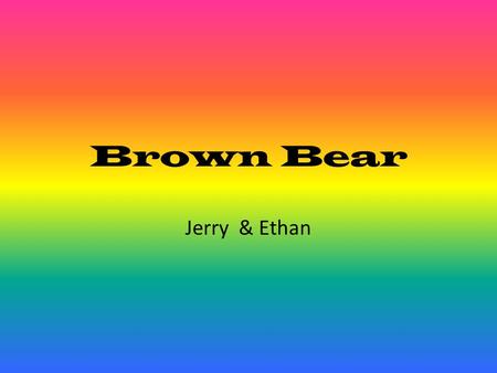Brown Bear Jerry & Ethan.