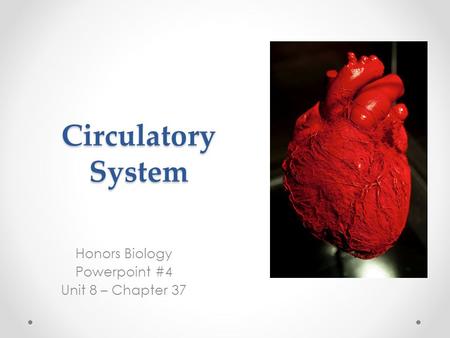 Circulatory System Honors Biology Powerpoint #4 Unit 8 – Chapter 37.