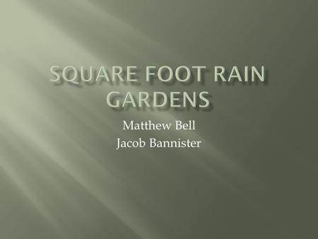 Matthew Bell Jacob Bannister.  Rain Gardens offer homeowners an inexpensive and simple to implement option to reduce stormwater runoff on their property.
