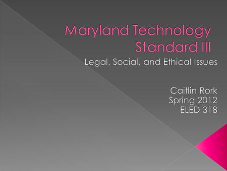 Maryland Technology Standard III