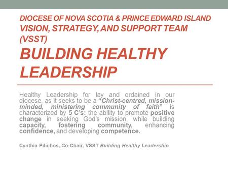 DIOCESE OF NOVA SCOTIA & PRINCE EDWARD ISLAND VISION, STRATEGY, AND SUPPORT TEAM (VSST) BUILDING HEALTHY LEADERSHIP Healthy Leadership for lay and ordained.