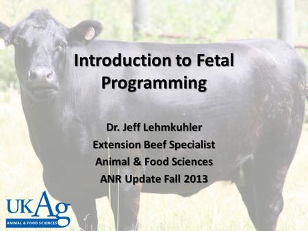 Introduction to Fetal Programming Dr. Jeff Lehmkuhler Extension Beef Specialist Animal & Food Sciences ANR Update Fall 2013.