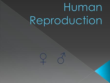 Human Reproduction ♀ ♂.